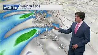 Sunny skies and mild temperatures forecast for Thanksgiving