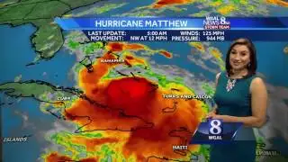 Sunny skies and mild today