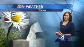 Sunny skies and mild today