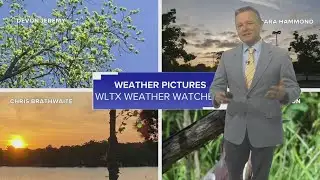 Sunny, very warm weather Friday