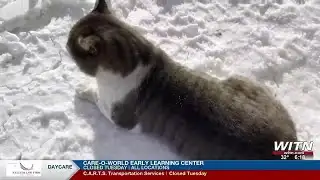 Sunshine returns as Morehead City roads remain unsafe after historic winter storm