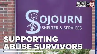 Supporting Domestic Violence Survivors