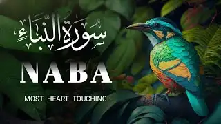 Surah An-Naba | Quran Recitation With Arabic Text & Translation