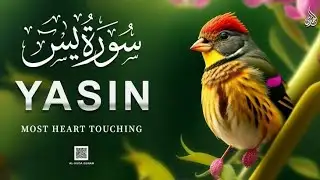 Surah Yaseen | Solution to Every Problem |سورہ یٰسن Full With Arabic•Jam