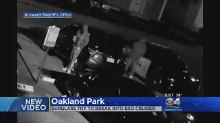 Surveillance Video Catches Attempted BSO Cruiser Break-In
