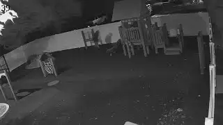 Surveillance video shows arsonist torching early-learning center playground