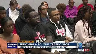 Surviving a routine police traffic stop