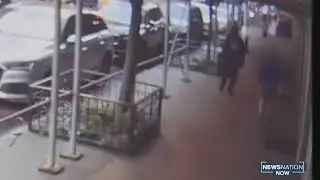 Suspect arrested in attack on actor Rick Moranis