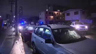 Suspect charged after alleged machete assault