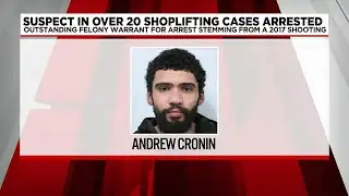 Suspect in over 20 shoplifting cases arrested