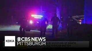 Suspect sentenced after shooting North Versailles officer and K9