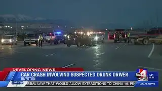 Suspected drunk driver flees police during traffic stop