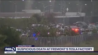 Suspicious death at Tesla factory