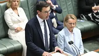 ‘Sussan Ley cannot force us to vote one way’: Littleproud announces Coalition split