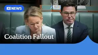 Sussan Ley downplays Nationals