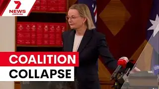Sussan Ley fights to survive Coalition collapse | 7NEWS