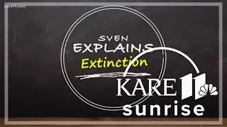 Sven Explains: Extinction