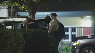 SWAT standoff underway in Spring Valley after man brandishes weapon | 10 p.m. update