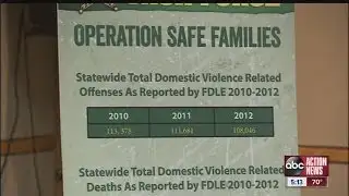 Sweep targets domestic violence