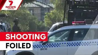 Sydney police foil alleged public shooting plot | 7NEWS