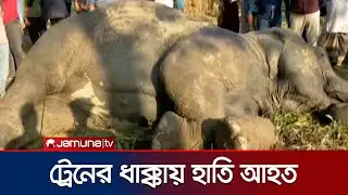 সিলেটের ট্রেনের ধাক্কায় এক হাতি আহত; ডোবা থেকে উদ্ধার | Sylhet | Elephant | Jamuna TV