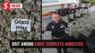 Syndicate trafficking ganja buds worth RM8.67mil busted