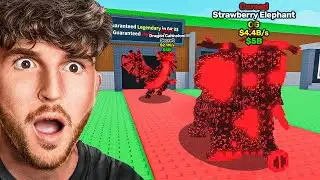 TACO TUESDAY ADMIN ABUSE!