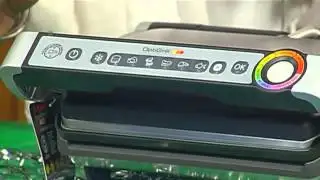 Tailgating Like a Lady