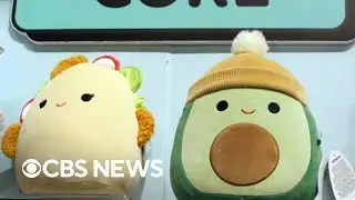 Take a look inside the "Squishmallows" headquarters