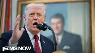 ‘Take him seriously and literally’: Fmr. Trump staffer excoriates admin. for midterm election ‘joke’