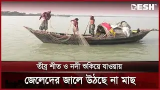 টাঙ্গাইল বাজারে মিলছে না পর্যাপ্ত মাছ | Tangail News | Desh TV