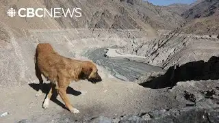 Taps run dry as Iran faces drought crisis