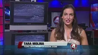 Tara-Fox 4 News at Six