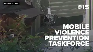 Task force tackles crime