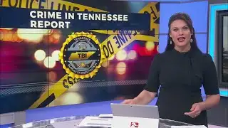 TBI Crime Report released
