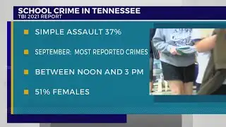TBI report on crime in schools