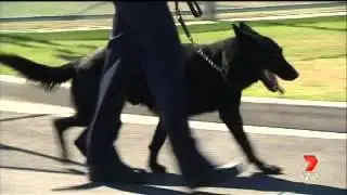 Tcad 7 News -  Prison Overcrowding