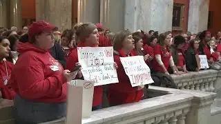 Teachers protest education bills in Frankfort