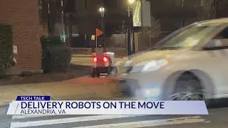 Tech Talk | Delivery robots on the move in Alexandria