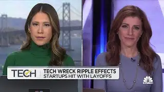 Tech wreck shows ripple effects into startup ecosystem after layoffs