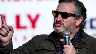 Ted Cruz leads Republican challenge to Biden win