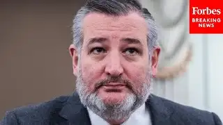 Ted Cruz Leads Senate Commerce Committee Hearing About Self-Driving Cars