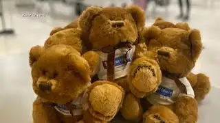 Teddy Day: Students spreading kindness, one teddy bear at a time