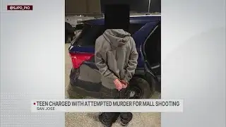 Teen charged with attempted murder for Black Friday Valley Fair shooting