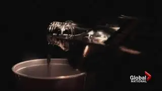 Teen girl binge drinking