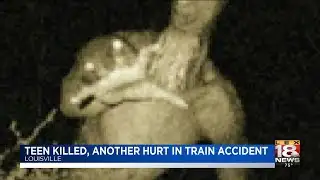 Teen Killed, Another Hurt In Train Accident