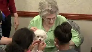 Teen Volunteer Program