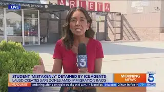 Teen with disabilities reportedly detained by ICE outside L.A. school