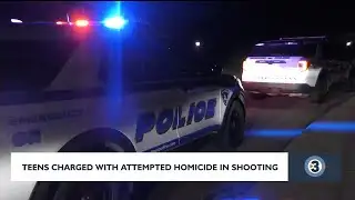 Teens arrested for attempted homicide in Madison shooting
