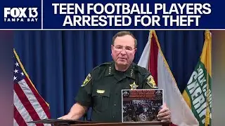 Teens arrested for role in organized theft ring